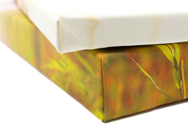 Premium Canvas Prints Premium Canvas Prints