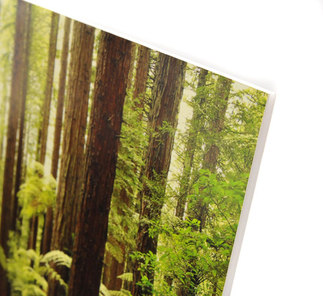 Foamex Mounted Posters & Exhibition Hanging Signs