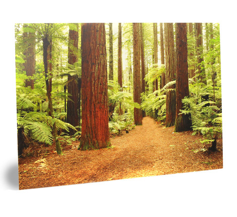 Foamex Mounted Posters & Exhibition Hanging Signs